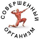Логотип канала Совершенный организм