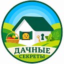 Логотип канала ДАЧНЫЕ СЕКРЕТЫ | Дача, дачные лайфхаки