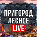 Логотип канала Пригород Лесное