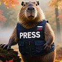 Логотип канала 🇷🇺 Капибара Press | Новости дня